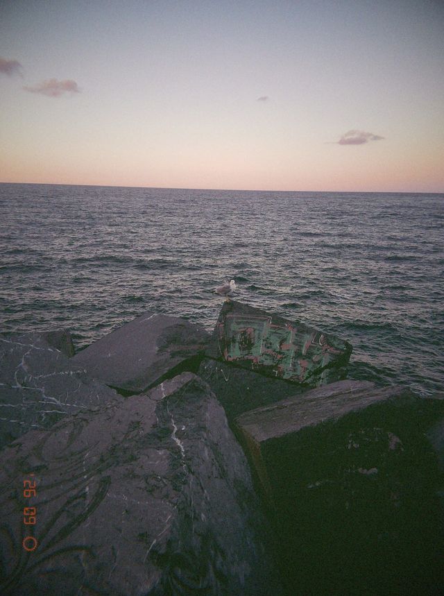 Una gaviota vigila el mar desde lo alto de un bloque con grafitis, entre las rocas de la escollera al atardecer.